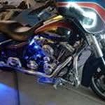 Harley Edwards - @edwards.harley - Instagram