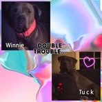 Harley Erwin - Facebook