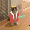 Harley_9 - @harley.estrada - TikTok