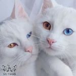 Harley Frank - @harley.frank.10 - Instagram