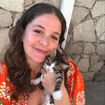 Harley Frank - Somatic Healer | Therapist | Embodiment Teacher - @harleyfrank - Instagram