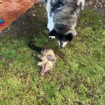 Harley Garner - Facebook