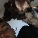 @harley_giles - Instagram