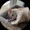 Harley.Giles76 - @user3845281941272 - TikTok