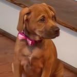 Harley Flynn Goodman - @harleyflynn23 - Instagram