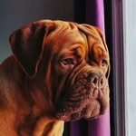 Harley von Gross - @burtons.fantasies - Instagram