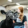 harleyhansenshowcattle - @harleyhansenshowcattle - TikTok
