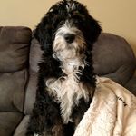 Harley Harmon - @harley_harmon15 - Instagram