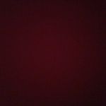 harley - @harleyhatfield9462 - Instagram