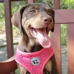 Harley Hernandez - @harley_hernandez01 - Instagram