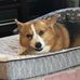 Harley Herron - Facebook