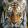 harley - @harleyhicks.123 - TikTok