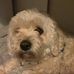 Harley Holt - Facebook