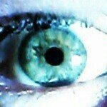 Harley Holt - @normalitys_oddshop - Instagram
