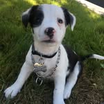 Harley Q. Howard - @harleyhoweird - Instagram