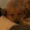 harley.howell - @harley.howell3 - TikTok
