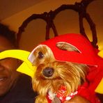 Harley Huff Fulton - Facebook