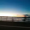 Harley - @harley_johnson1 - TikTok