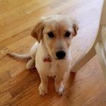 Harley Johnson - @harley.bexley.johnson - Instagram