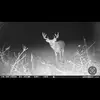 harleyjohnson585 - @harleyjohnson585 - TikTok