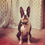 Harley Joseph - @harleyjoseph_bt - Instagram