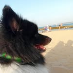 Harley Joseph Davidson - @harleyjosephdavidson - Instagram
