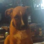 Harley Long - @harley.long.12720 - Instagram