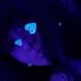 Harley Marsh - Facebook