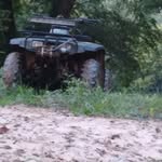 Harley Marsh - @harley.marsh.50 - Instagram