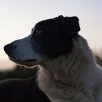 Harley Matthews - @harley.matthews - Instagram