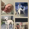 HARLEY MATTHEWS - @harley_matthews1 - TikTok