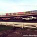 Harley Meier Photography - Facebook