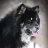 Haley Merchant - @haley.merchant - TikTok