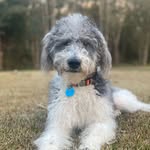 Harley Davidson Mitchell - @harley.mitchelll - Instagram