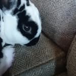 Harley mitchell - @harleym225 - Instagram