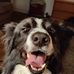 Harley Mitchell - Facebook