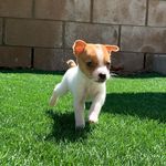 Harley Quinn munoz - @har_leyquinn2020 - Instagram