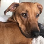 Harley Hughes O’Brien - @harleyhughes0 - Instagram