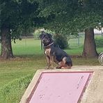 Harley Odom - Facebook