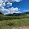 harley_olsen21 - @harley_olsen21 - TikTok