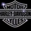 Harleyolsen - @harleyolsen79 - TikTok