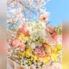 Daniella Ashley - @harley_olson505260 - TikTok