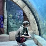 Harley Olson - @harley.olson.98 - Instagram