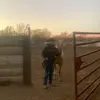Harley Page - @harleypage1 - TikTok