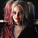 Harley Quinn Fan Page - @dcharleytr - Instagram