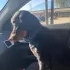Harley - @harleyroach00 - TikTok