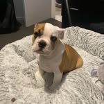 Harley Rowe - @harleyrowe_ - Instagram