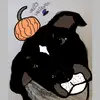 Harley - @harley_the_shepherd_mixx - TikTok