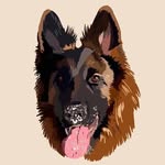 Harley the German Shepherd - @gnarlyharley_gsd - Instagram