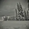 harley.slater1 - @harley.slater1 - TikTok